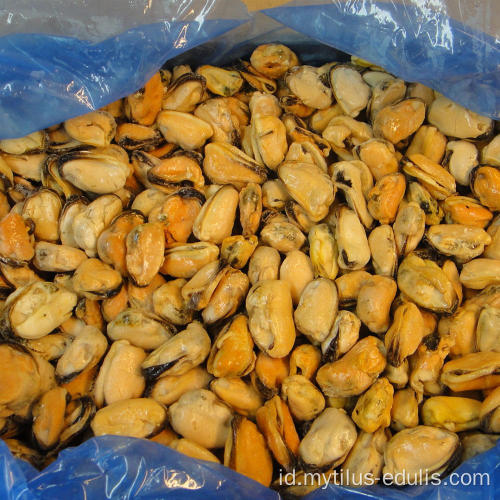 kerang hitam kerang biru kerang kalengan